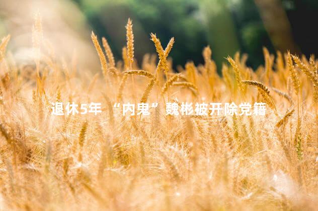 退休5年 “内鬼”魏彬被开除党籍